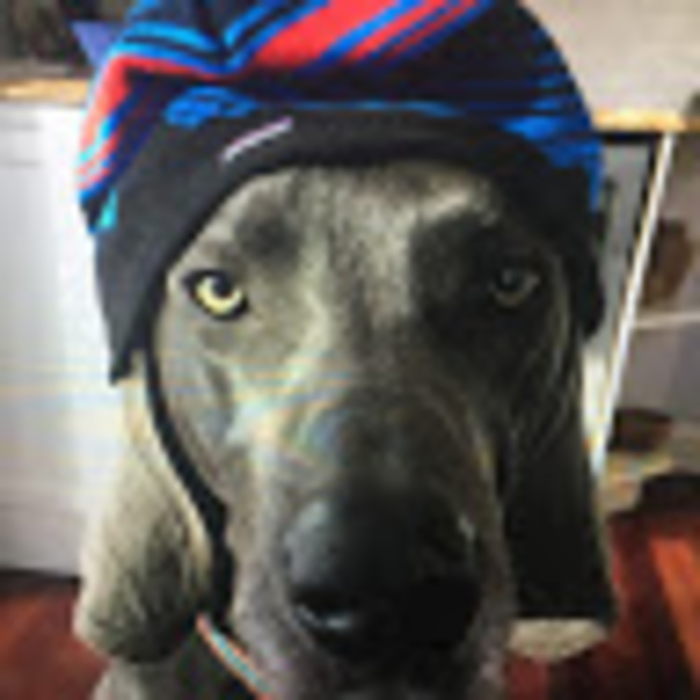 Meet your Posher, Czc